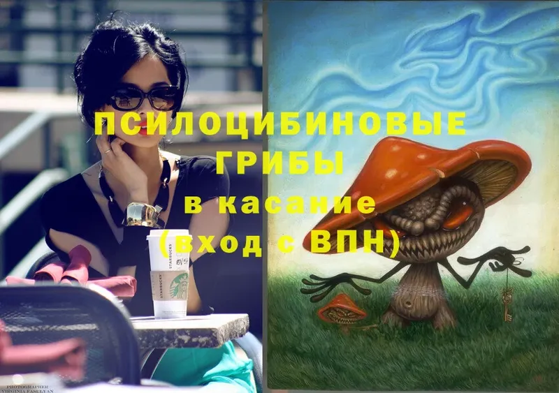 Псилоцибиновые грибы Magic Shrooms  Грязовец 